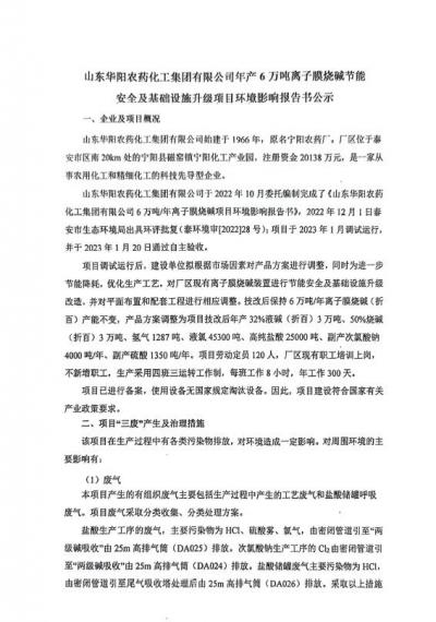 6萬噸離子膜燒堿節(jié)能安全及基礎(chǔ)設(shè)施升級環(huán)境影響報(bào)告